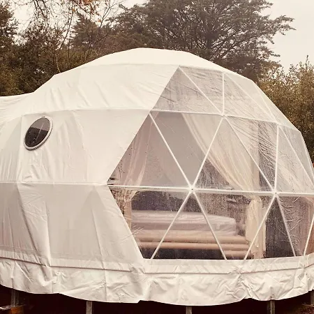 Time Stops Here At Gasthuis