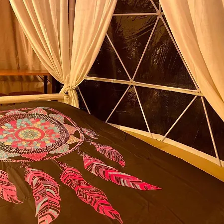 Time Stops Here At Gasthuis 4*