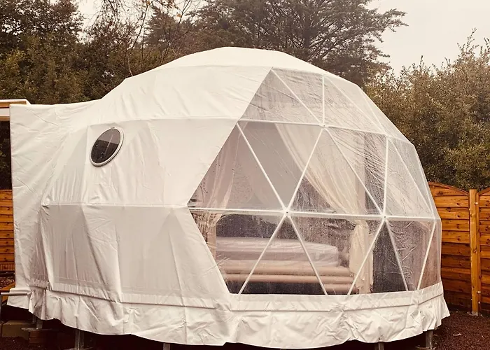 Time Stops Here At Pensión