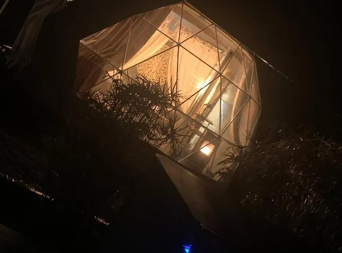 Pensión Time Stops Here At 4*