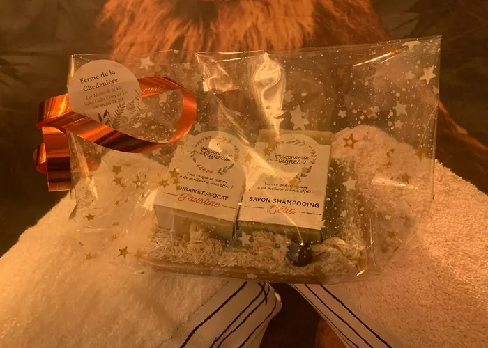 Time Stops Here At Pensión